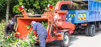 tree service in Lubbock